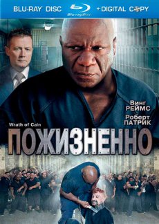 Пожизненно / The Wrath of Cain [2010/HDRip]