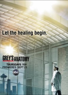 Анатомия страсти 8 сезон смотреть онлайн